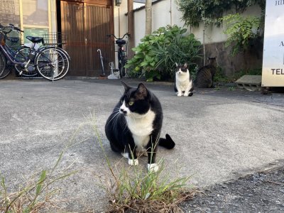 おはようございます。きょうも一日、ハッピーな笑顔で頑張りましょう。