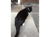 おはようございます。きょうも楽しい笑顔でよろしくお願いいたします。