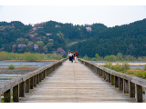 蓬らい橋〔世界一長い木造歩道橋〕　-静岡県島田市南-