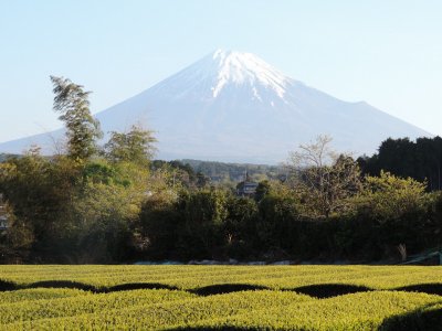 今朝の富士