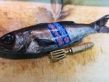 今日も元気に仕込み中