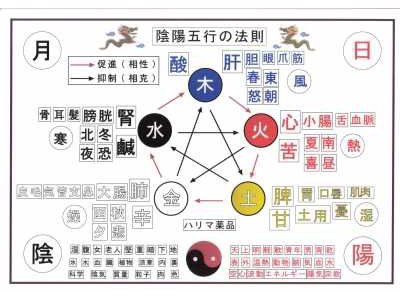 経絡治療「木　火　土　金　水」