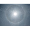 5/8【11:49に撮影の「ハロ」…雲が厚みを増したら天気下り坂のサイン】