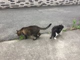 おはようございます。きょうも元気な笑顔で頑張りましょう。