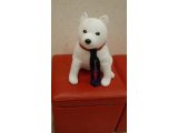 明日からセンター試験