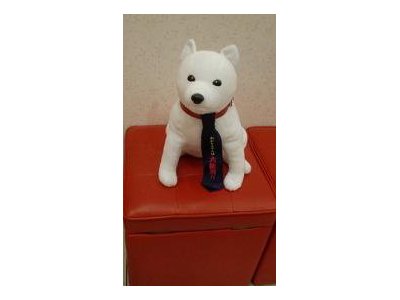 明日からセンター試験