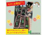 もみくま農園始まりましたーー(^-^)