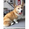 本日のお客様♪その1
