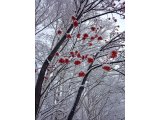 人との繋がり、ご縁