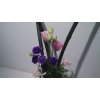 今週の花