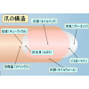 爪は健康のバロメーター！