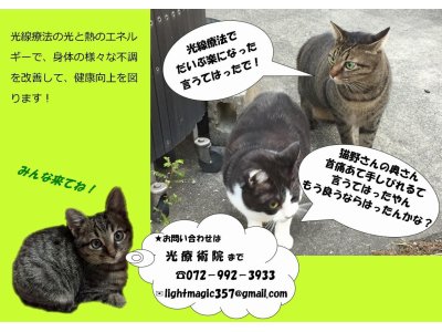 光療術院にゃんこ劇場