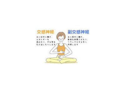 ●●を取らないと、絶対にやせない!