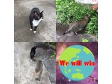おはようございます。今週もコロナに負けない元気な笑顔で頑張りましょう。