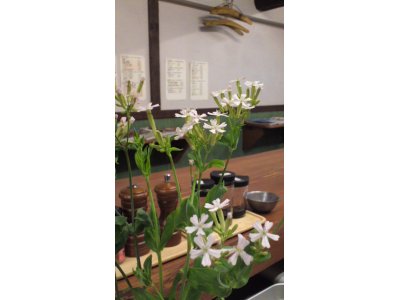 店長のおすすめ☆