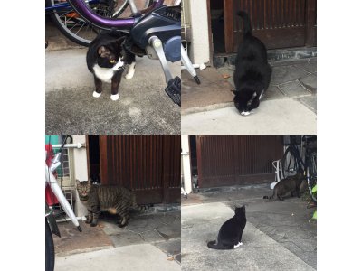 おはようございます。