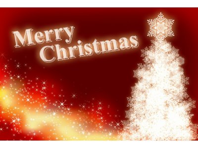 ハッピークリスマス(^^)/