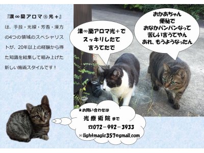 光療術院（ひかりりょうじゅついん）にゃんこ劇場