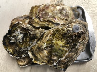寒さにも負けず頑張って営業します
