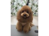 2016/3/8(火)