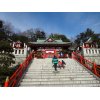 今年初の山登り」に行ってきました