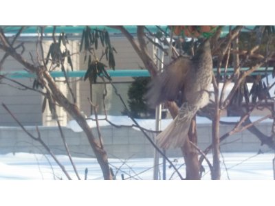 考えさせられるニュース