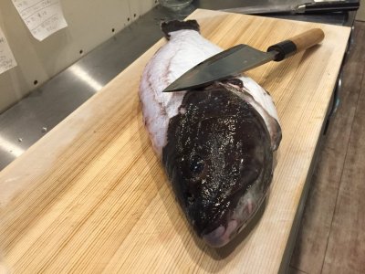 甲殻類好き!