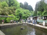 上川養鱒場たより 11月 1日 朝