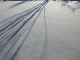 雪に影。