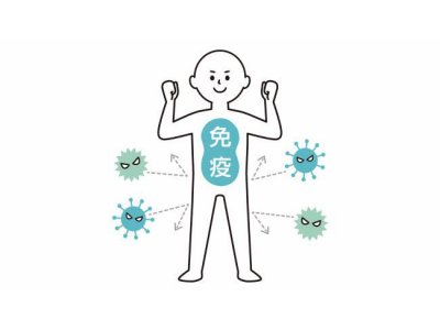 体の歪みと免疫力について
