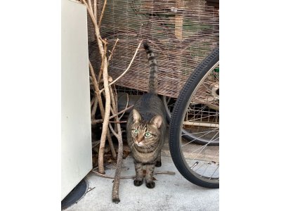 おはようございます。きょうも一日、輝く笑顔で頑張りましょう。