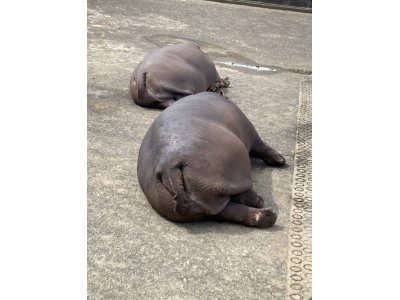 雨の3連休 その2