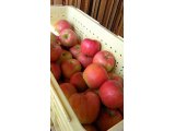完売必須！信州安曇野「中村さんちのシナノスイート」りんご販売！
