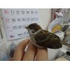 26日火曜にちょっとした出来事が