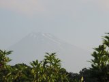 久しぶりに富士の全景が
