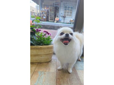 ルーちゃん