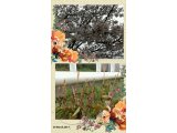 明日(3月31日)は定休日です