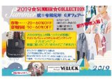 ２０１９　☆SUMMER☆COLLECTION