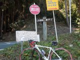 自転車　弓立山　シロクマパン