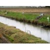 11/27【麦づくり予定圃場の水捌け】昨晩からの雨…かなり効けてます。暗渠設備からの排水状況確認。