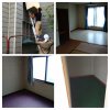 不用品処分回収　丸ごと片付け完了　便利屋タクミ
