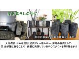 【Vol.2】茶道の道具炭 炉用胴炭の稽古用 お部屋のハウスダストの除去に最適