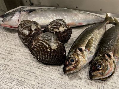 家に帰れん(泣)