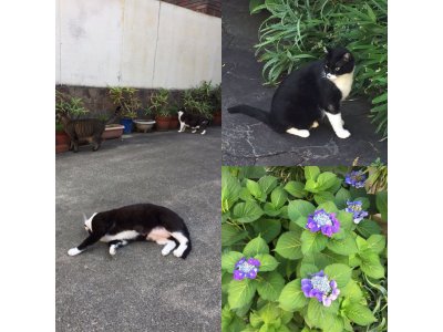 おはようございます。今週も元気な笑顔で頑張りましょう。