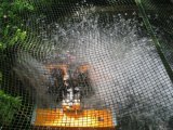 上川養鱒場たより 7月26日 朝