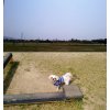 貸し切り♪♪