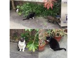 おはようございます。きょうもハッピーな笑顔でよろしくお願いいたします。