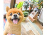 ライアンくん