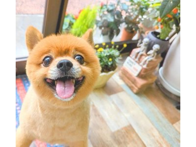 ライアンくん