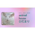 animal house ひだまり